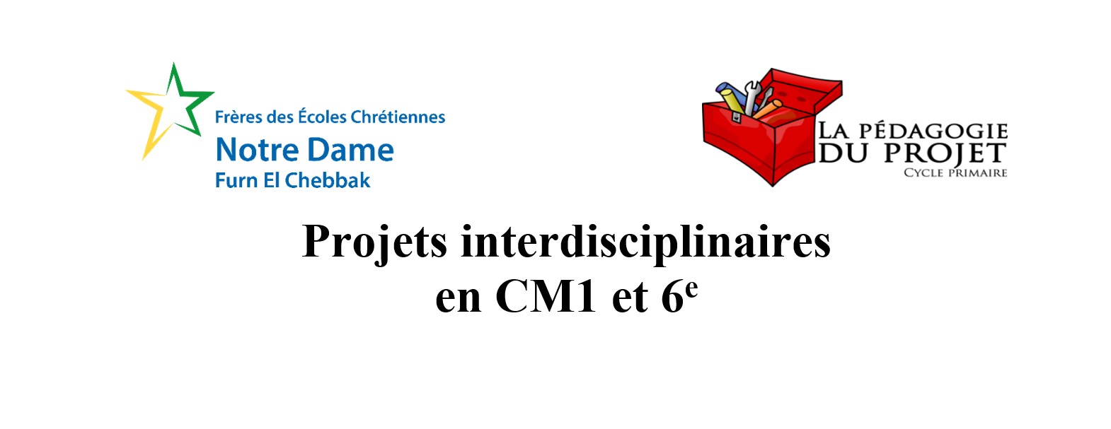 Projets interdisciplinaires en CM1 et 6e